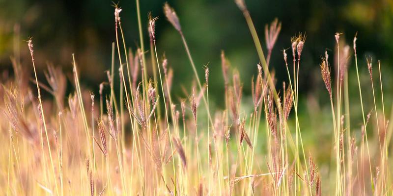 华晨工业风机节能改造:降本增效30%的通风系统升级方案与精准投资回报率计算