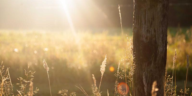 华晨高压风机如何提升污水处理曝气系统效能？关键技术深度解析
