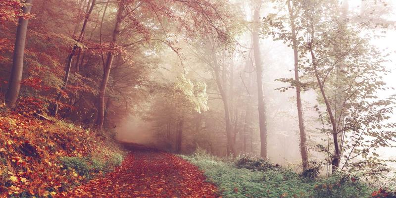 守护风之心脏：华晨风机叶轮耐磨涂层技术如何重塑通风系统效能与寿命