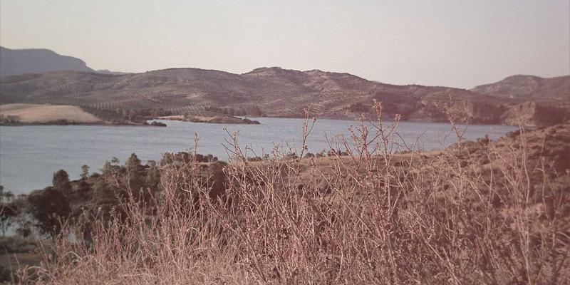 智慧通风新范式：华晨屋顶风机如何为物流仓储中心打造高效节能的通风系统